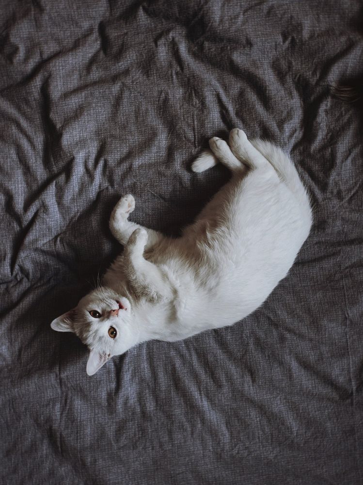 Photograph by Анастасия Бурая