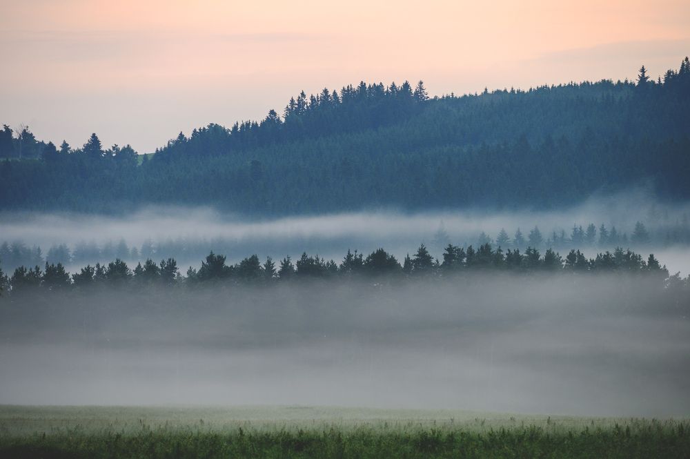 Photograph by Мария Новоселецкая