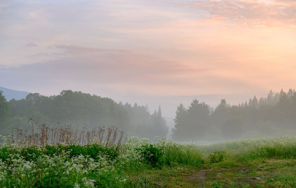 Photograph by Мария Новоселецкая