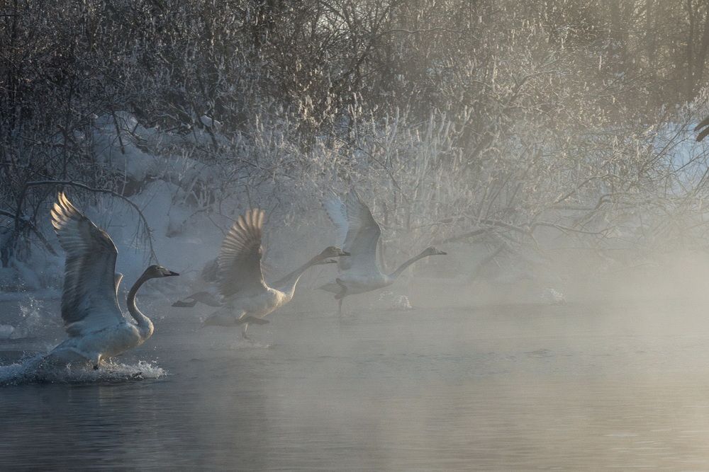 Photograph by Kirill