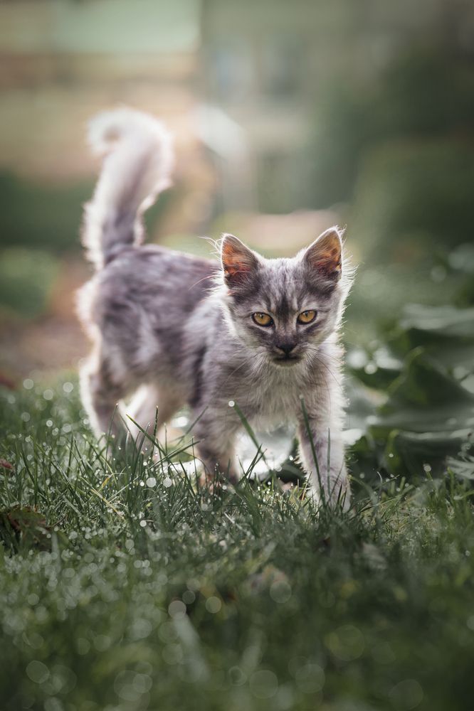 Photograph by Tereza Rozehnalová