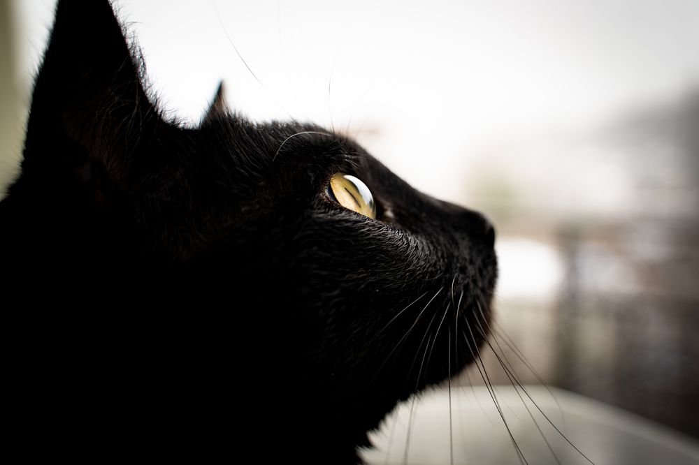 Photograph by Виталий Каргопольцев