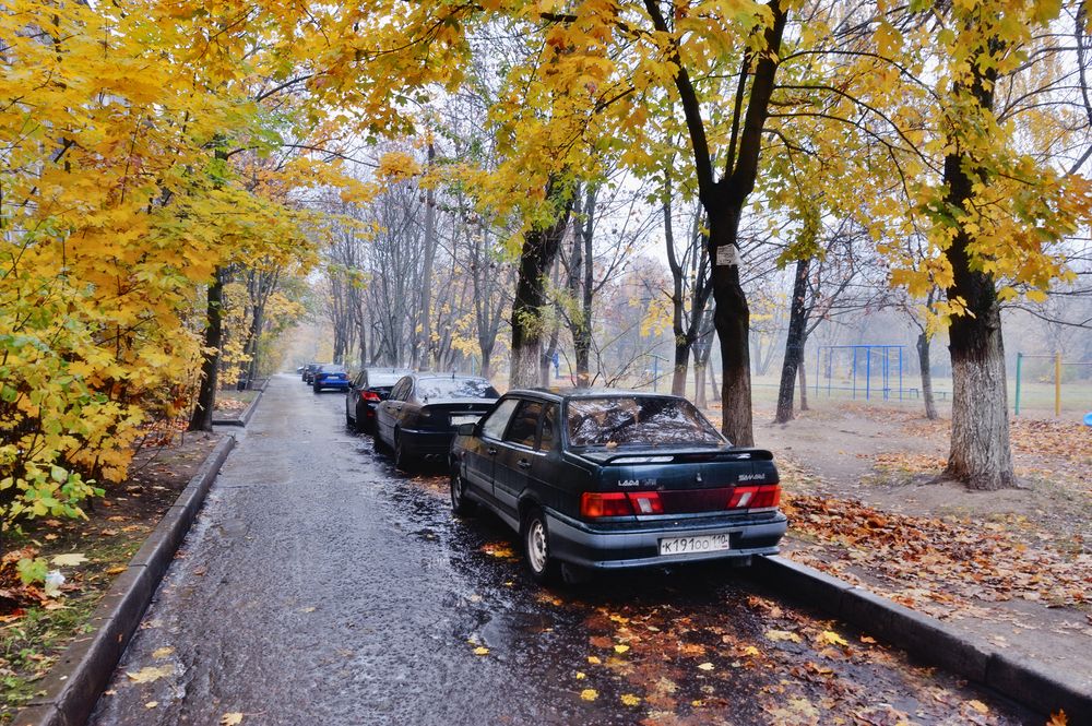 Photograph by Березкин Виктор