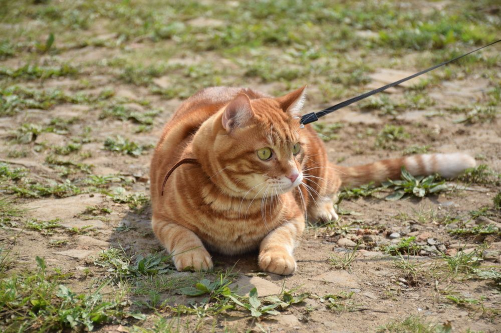 Photograph by Роман Блинов