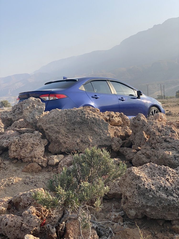 Photograph by Waleed Yousuf Alwahaibi