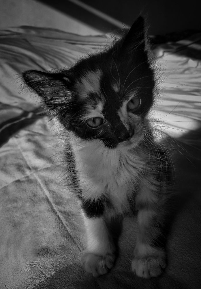 Photograph by Roberto Hagemann