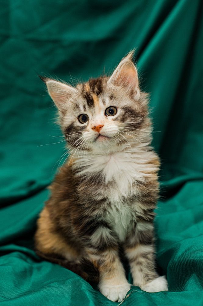 Photograph by Ирина Лазарева