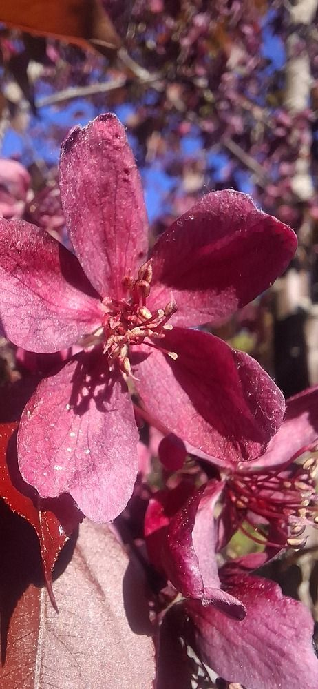 Photograph by Наталья Шулятина