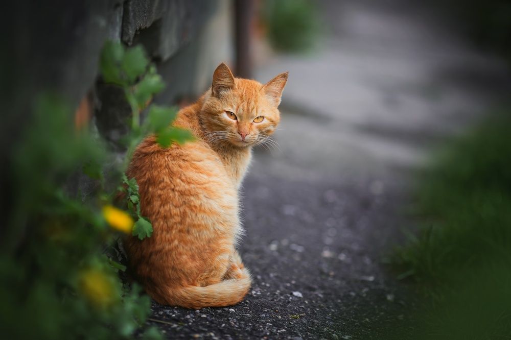 Photograph by Наталия Матвеева