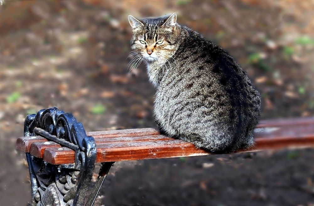 Photograph by Sergey Platonoff