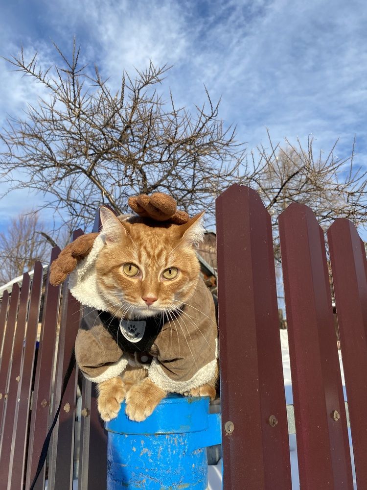 Photograph by Олеся Чистова