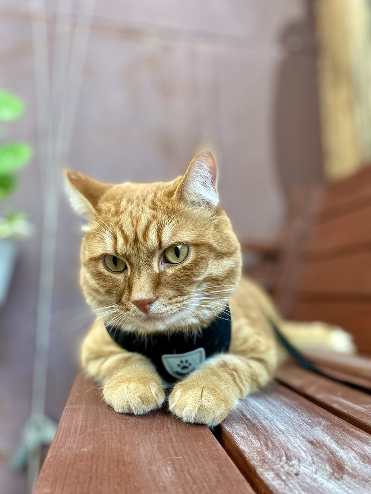 Photograph by Олеся Чистова