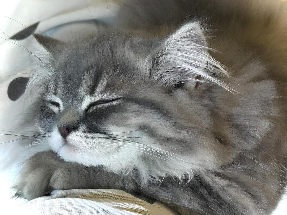 Photograph by Мария Вершинина