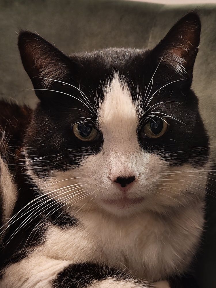 Photograph by Liliana Ospina staaden