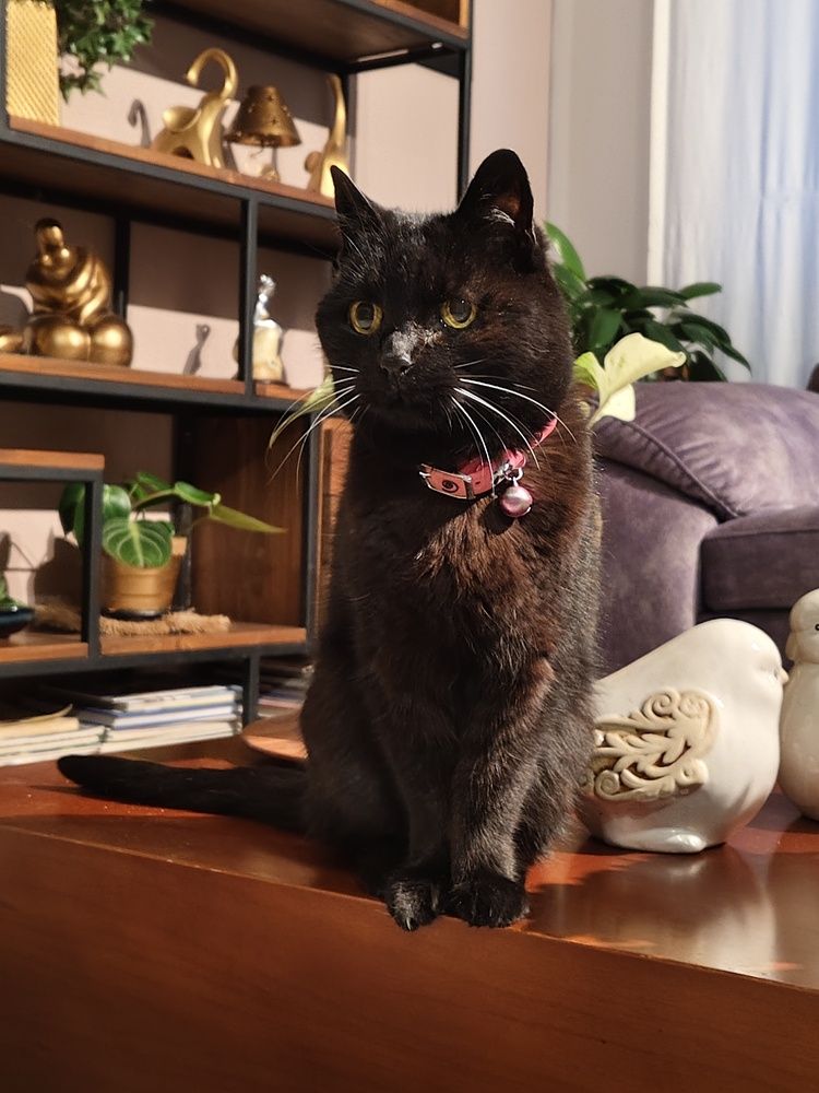 Photograph by Liliana Ospina staaden