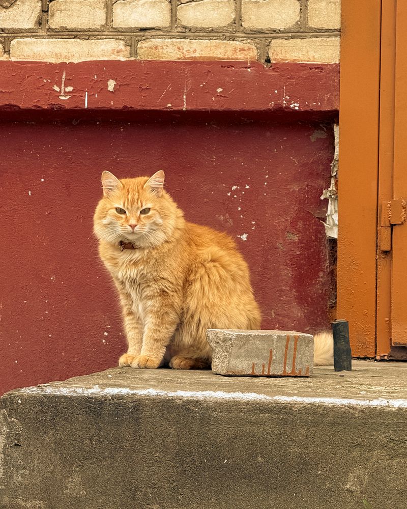 Photograph by Uladzimir Hvozd