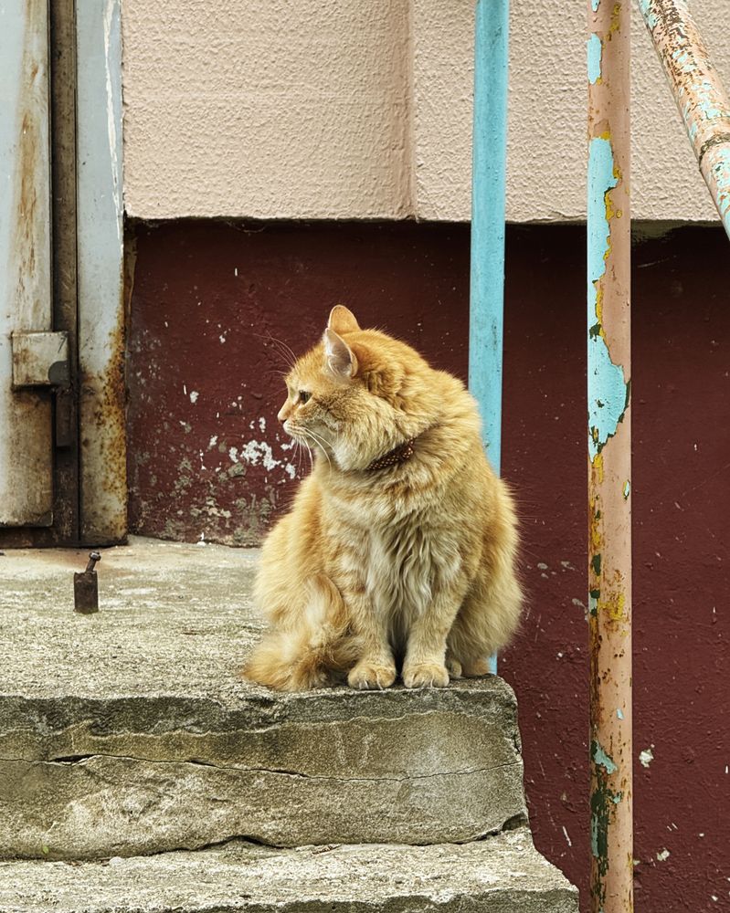 Photograph by Uladzimir Hvozd