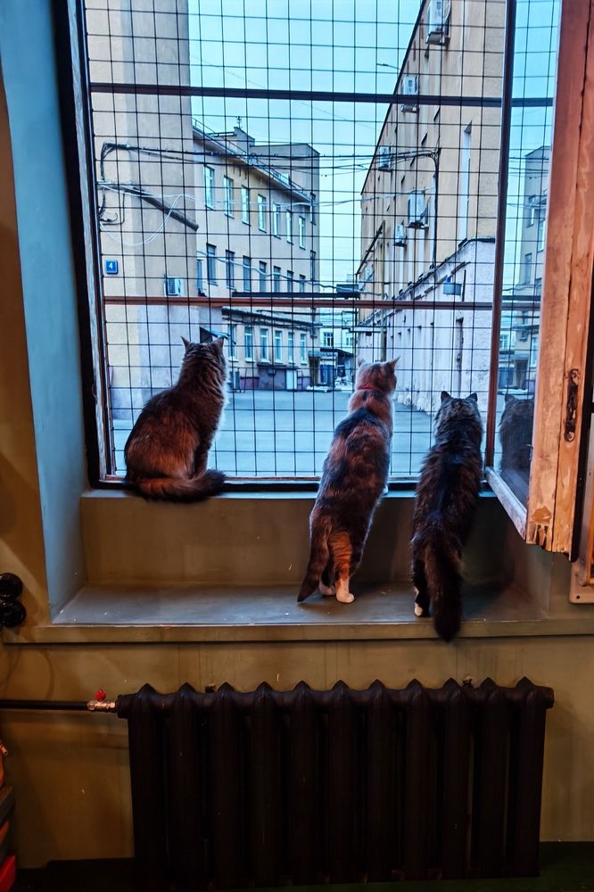 Photograph by Сергей Пушкин