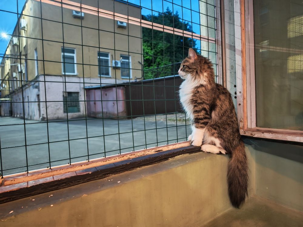 Photograph by Сергей Пушкин