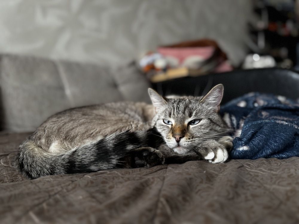 Фотография автора Вагуро Евгений