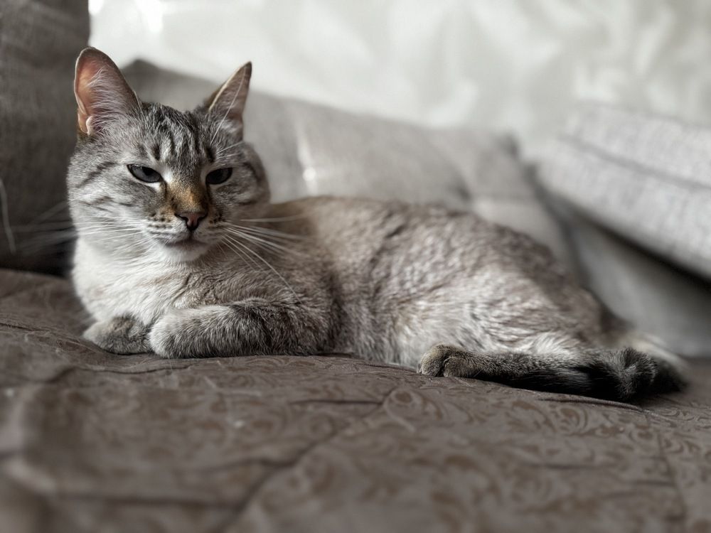 Фотография автора Вагуро Евгений