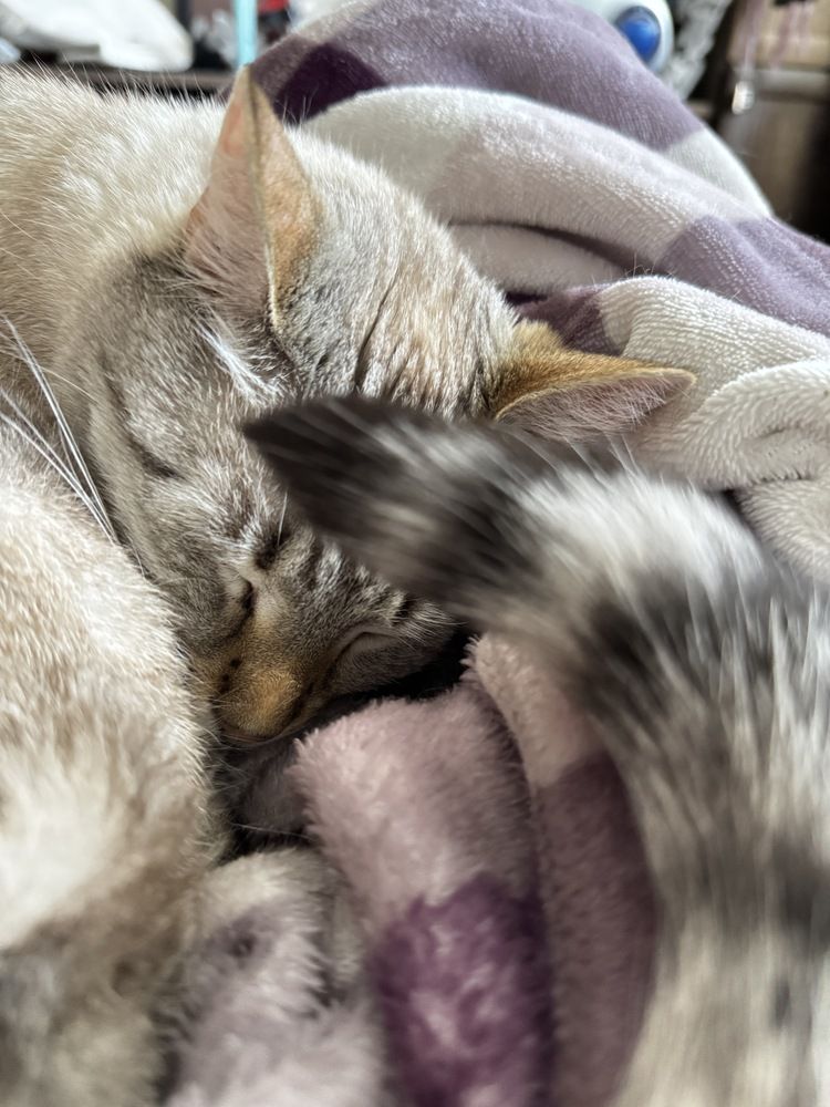 Фотография автора Вагуро Евгений