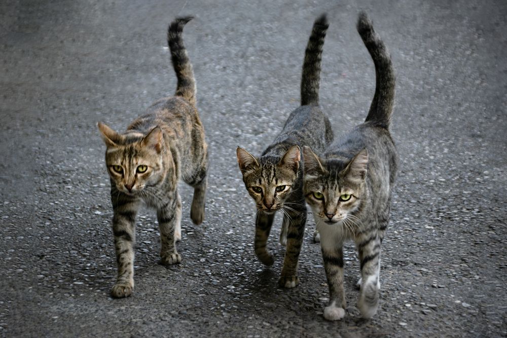 Photograph by Альфия Агзами