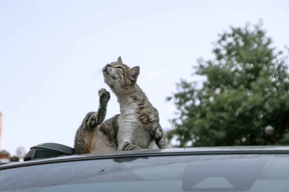 Photograph by Альфия Агзами