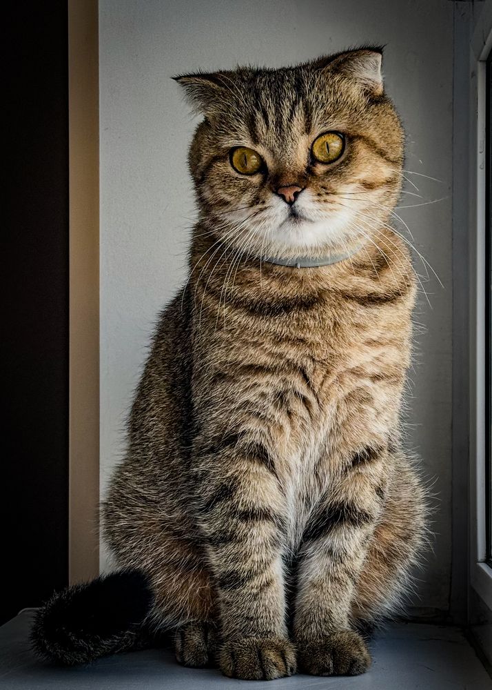 Photograph by Ekaterina Slepneva