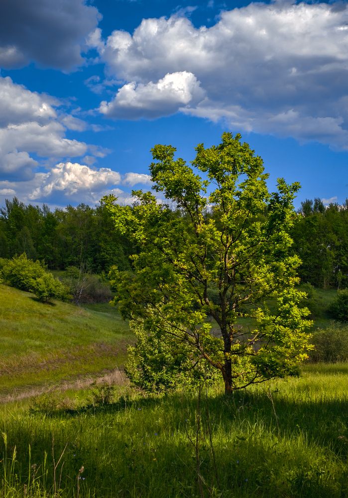 Photograph by Vladimir Frolov (1stMOD)