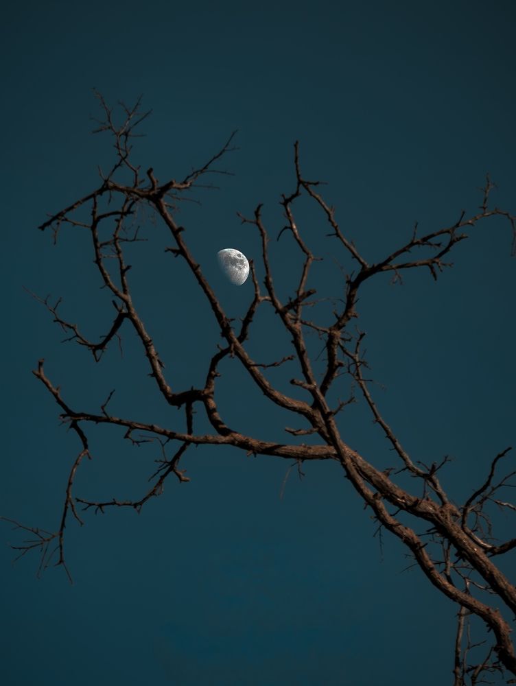 Photograph by Владимир Фролов