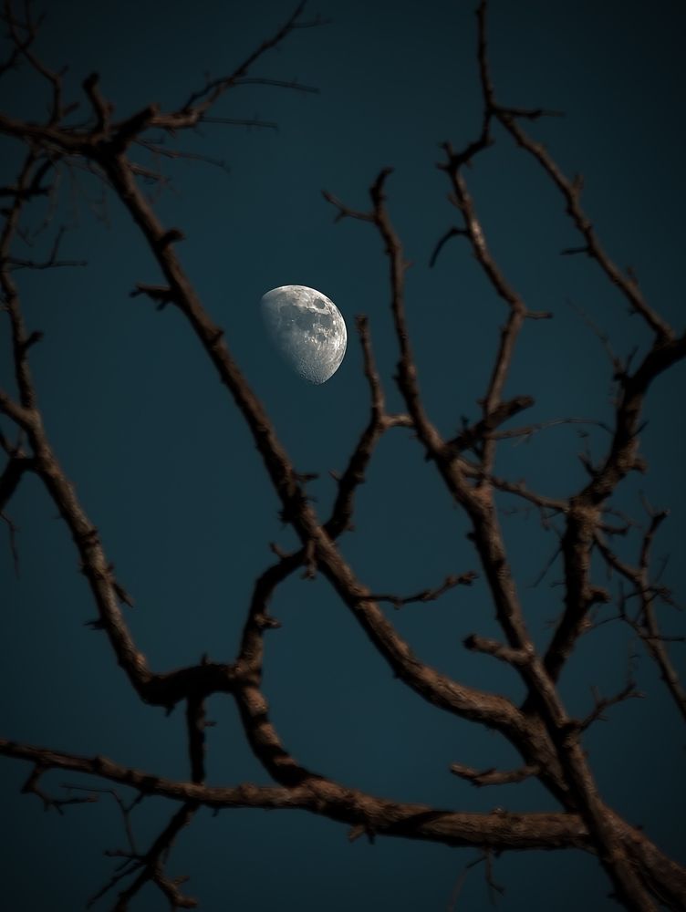 Photograph by Владимир Фролов