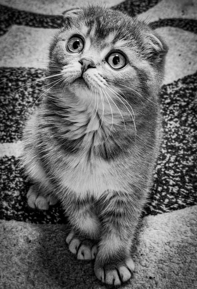 Photograph by Ekaterina Slepneva