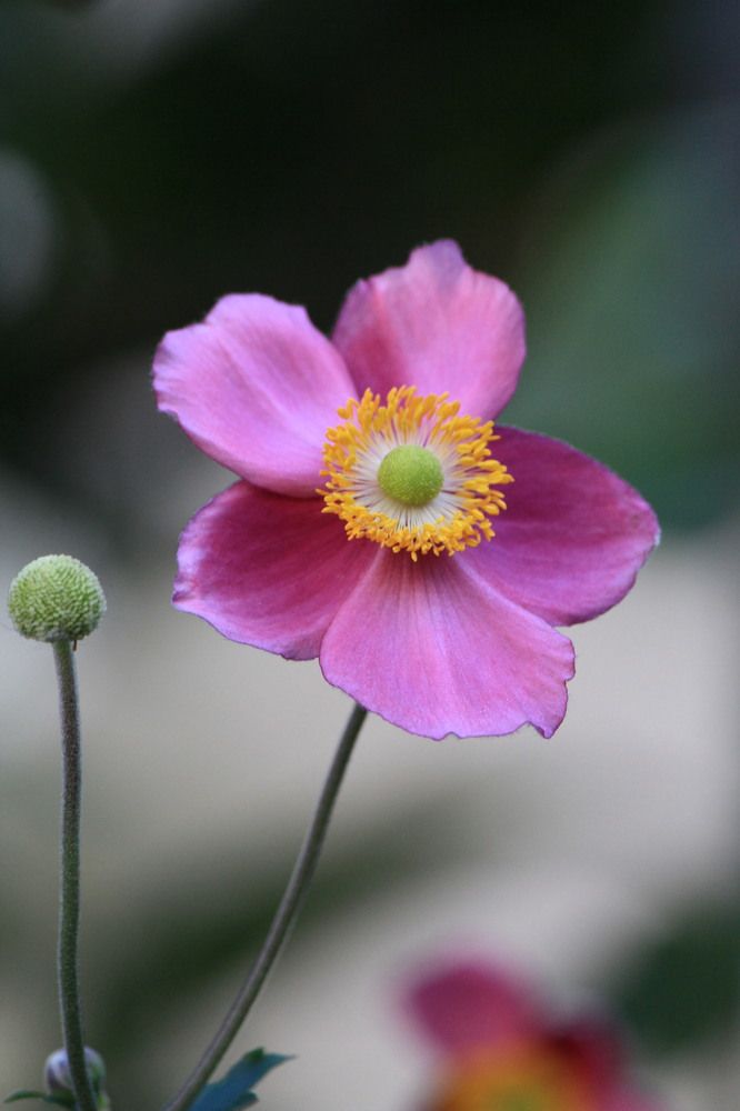 Photograph by Claudia Freitas