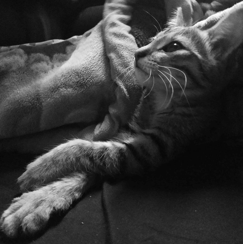 Photograph by Loriane Andrianjary