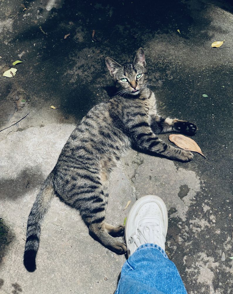 Photograph by Loriane Andrianjary