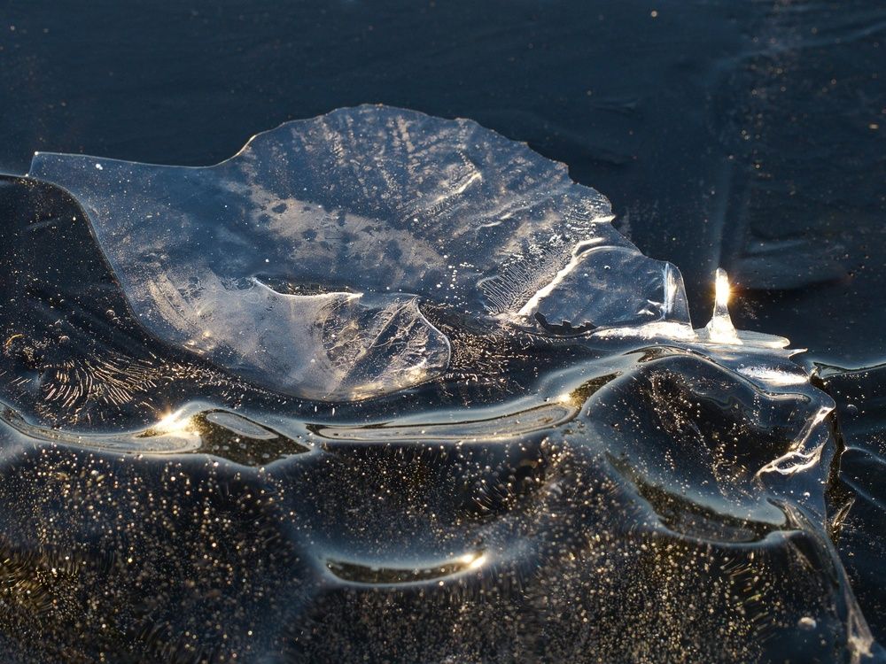 Photograph by Алексей Поляков