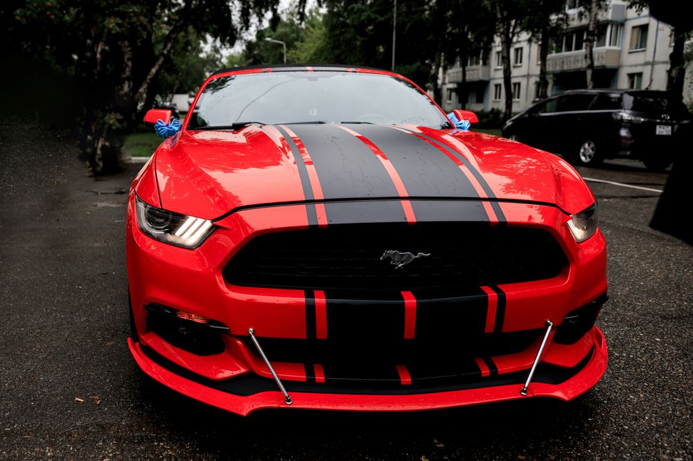 Photograph by Максим Дорошенко