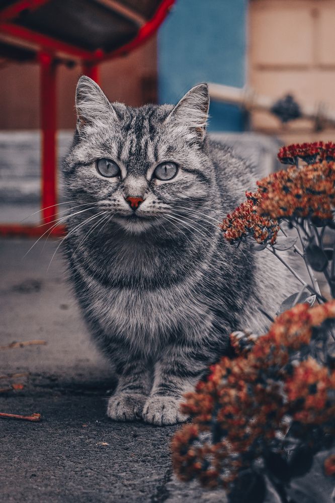 Photograph by Valentin Kolinko