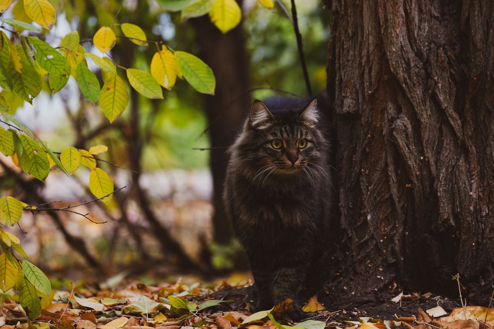 Photograph by Valentin Kolinko