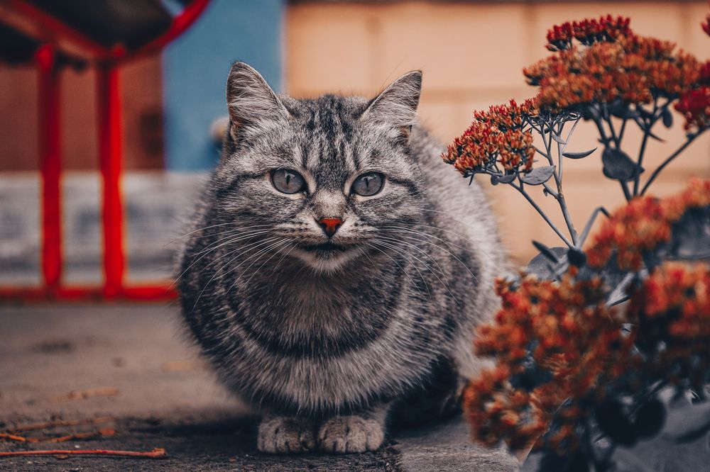 Photograph by Valentin Kolinko