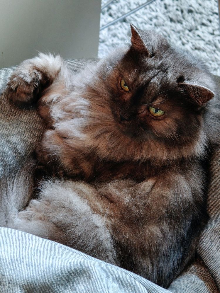 Photograph by Ирина Львова