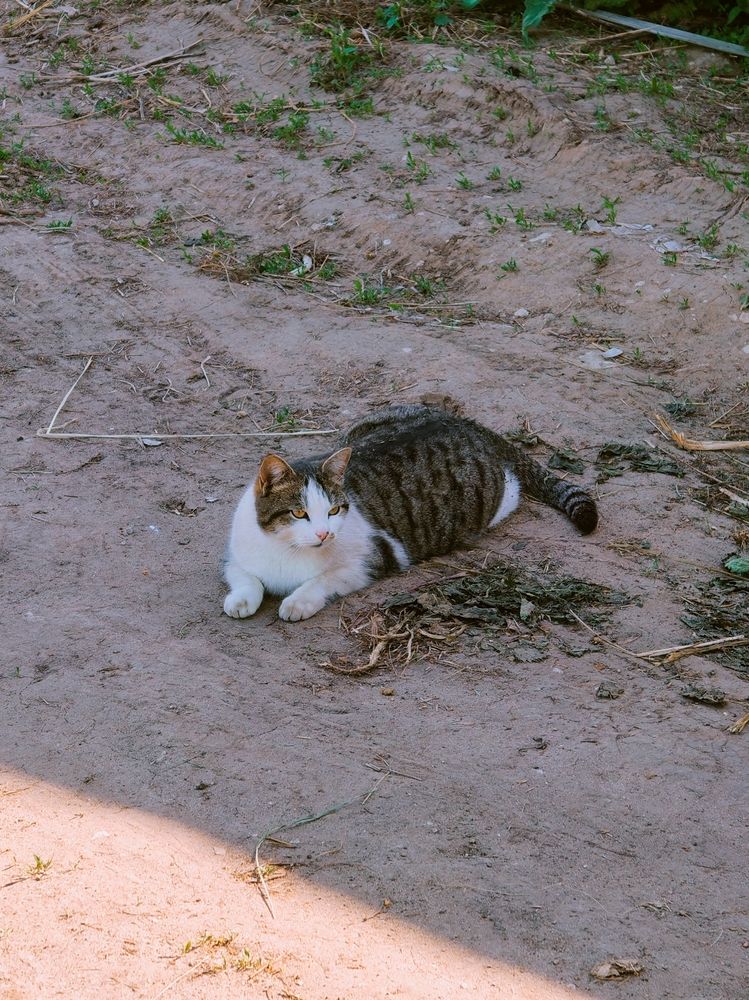 Photograph by Ирина Львова