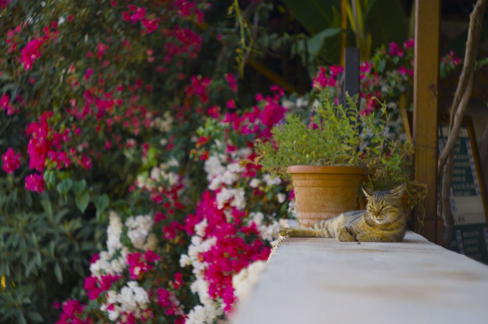 Фотография автора Евгений Кириллов