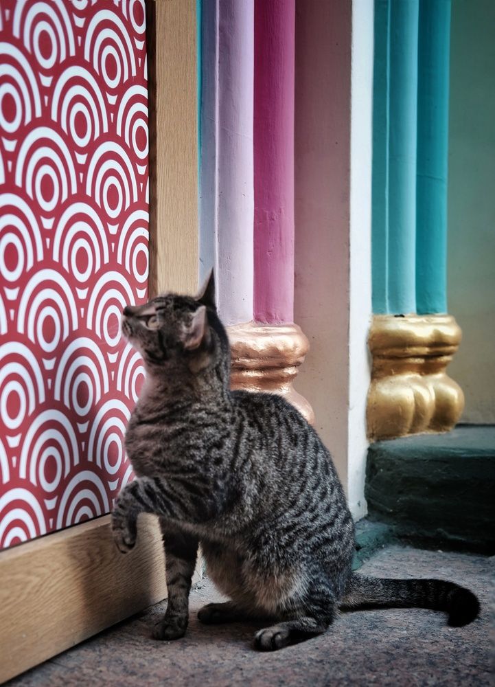 Photograph by Сергей Кошин