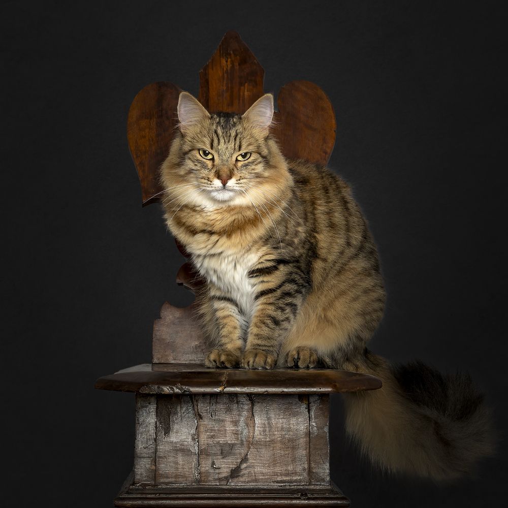 Uno sguardo che parla