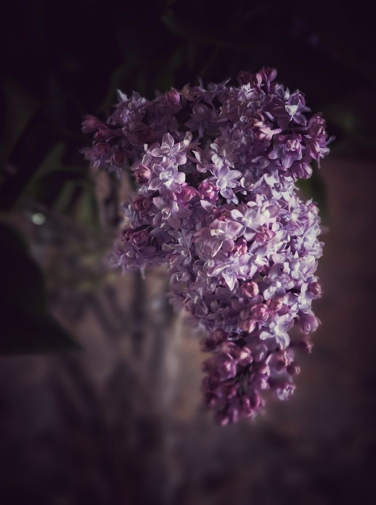 Photograph by Евгения Владимировна