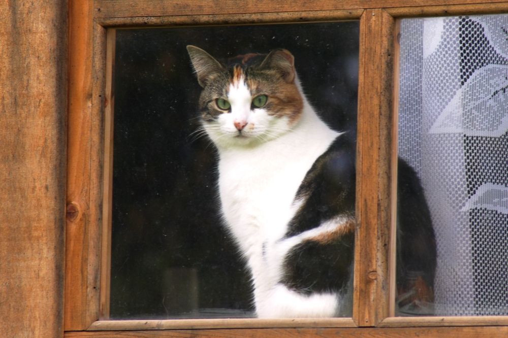 Photograph by Валентина