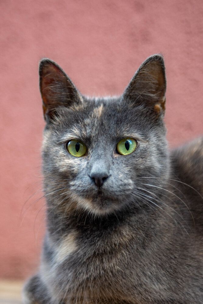 Photograph by Darina