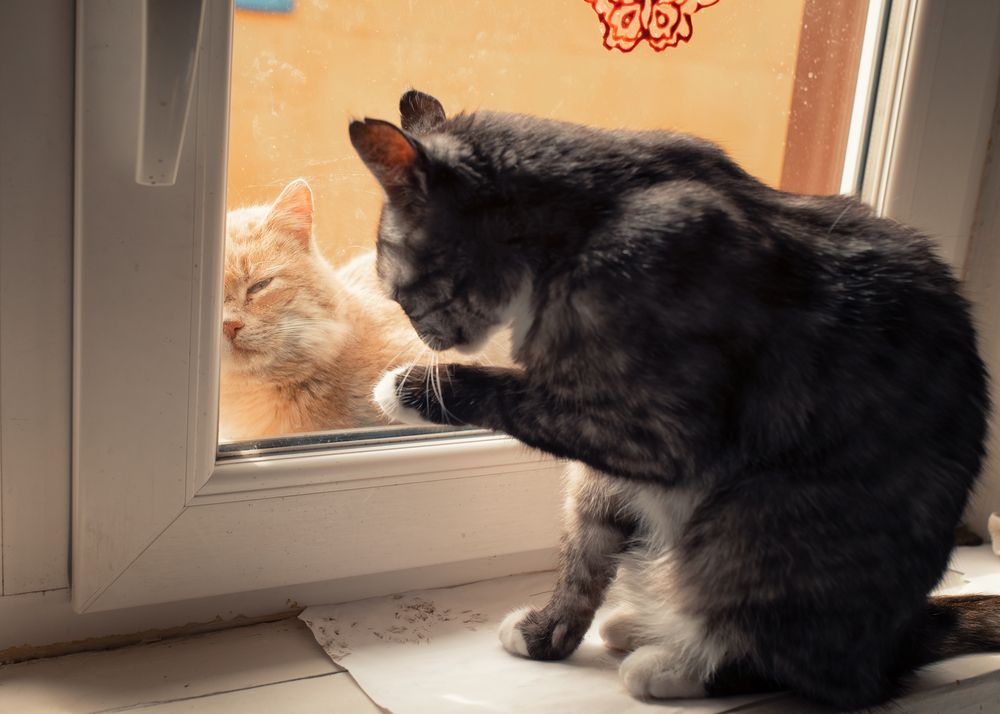 Photograph by Тамара Вотинцева